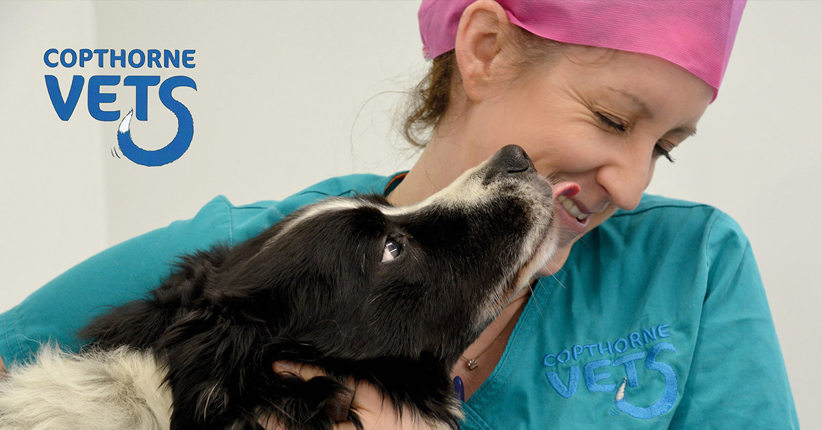 Copthorne Veterinary Clinic