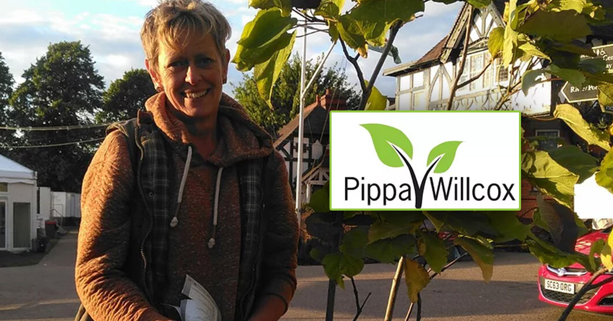 Pippa Willcox - Garden Designs