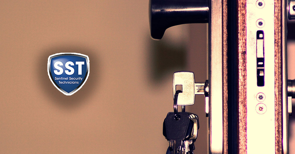 Sentinel Security Technicians