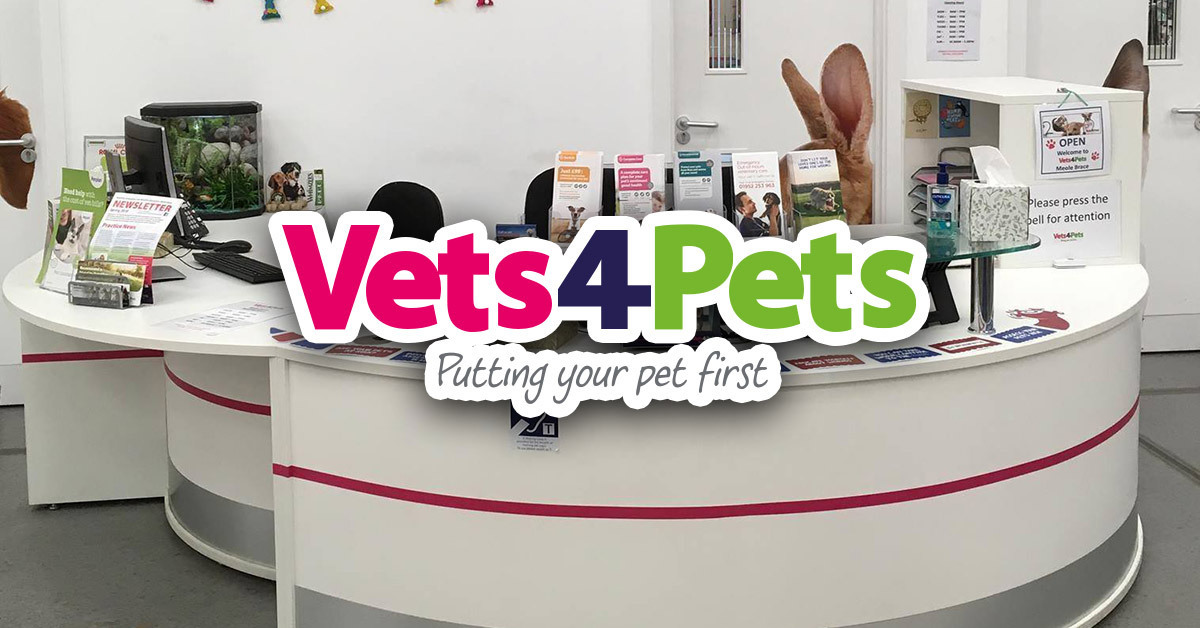 Vets4Pets - Shrewsbury