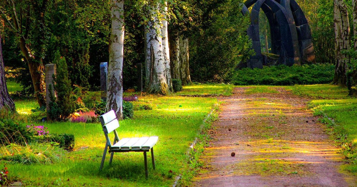 Shrewsbury Flower Show Gallery