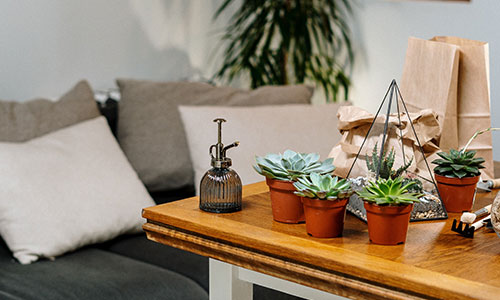 Home and Garden in Shropshire