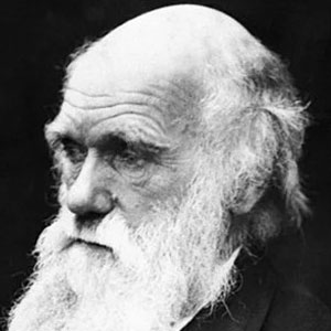 History of Shrewsbury